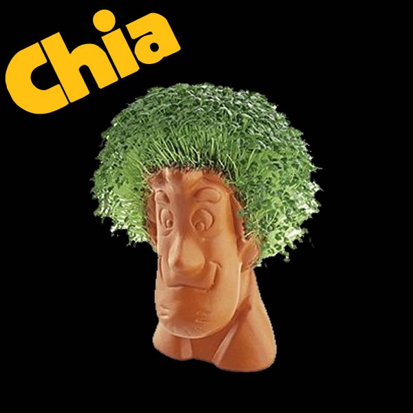 Chia Shaggy