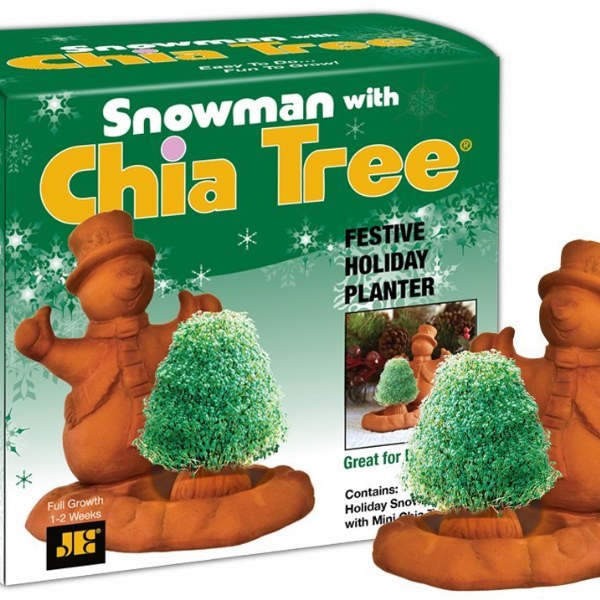 Snowman with Chia Tree
