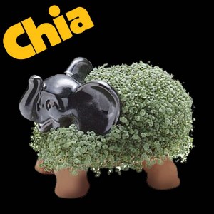 Chia Elephant
