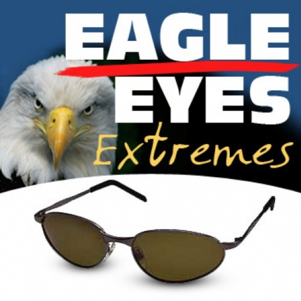 Eagle Eyes Sunglasses