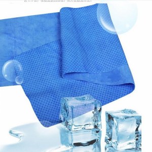 FrostBite Cooling Towel