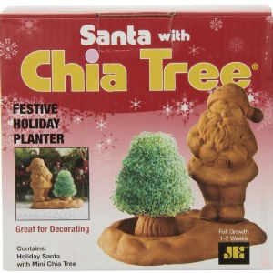 Santa with Chia Tree