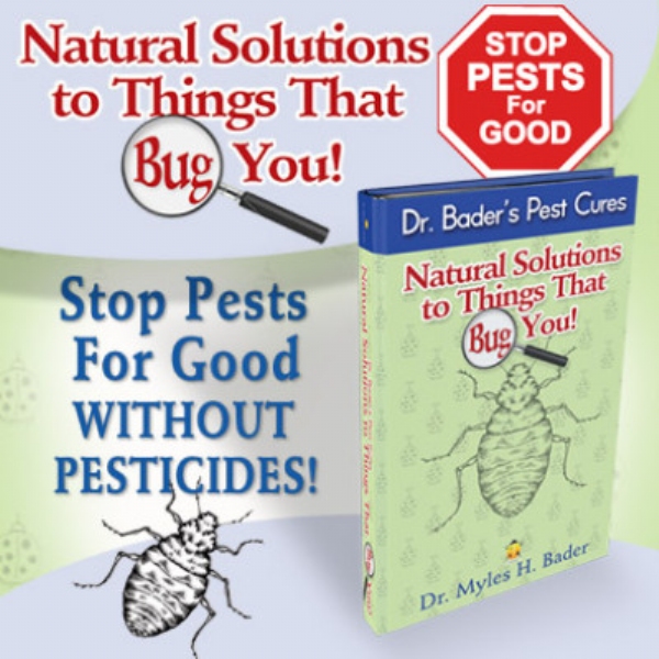 Natural Solutions for Things That Bug You