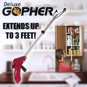 Gopher Deluxe
