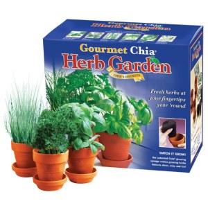 Gournmet Herb Garden