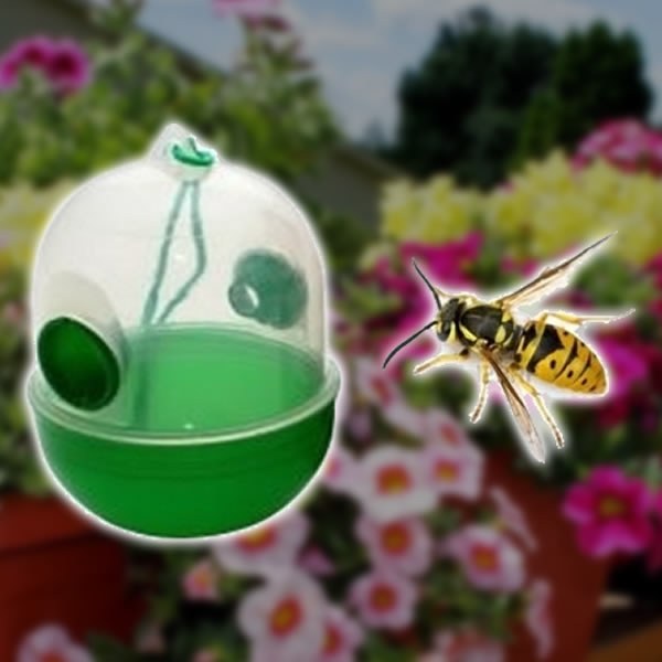 Hanging Wasp Trap As Seen On TV