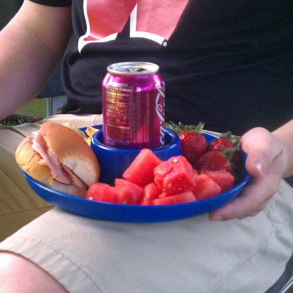 Great Plate As Seen On TV