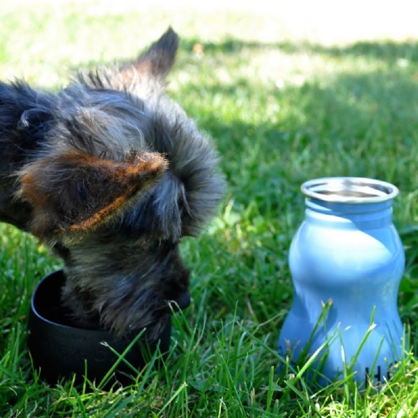 H2O4K9 Dog Water Bottle