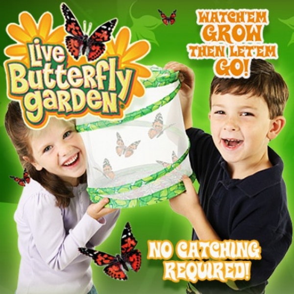 Butterfly Garden | As Seen On TV