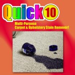 Quick 10 Stain Remover