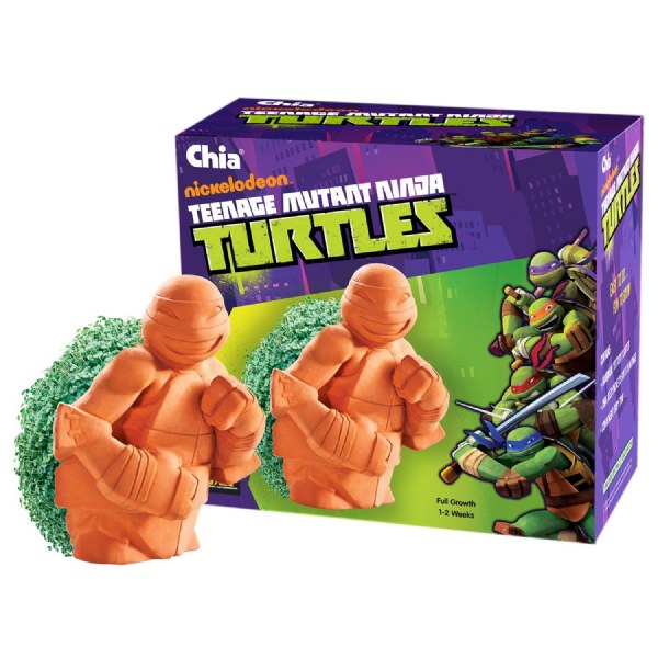 Chia Ninja Turtles