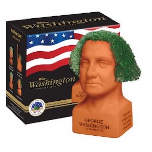 Chia George Washington