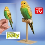 Perfect Polly
