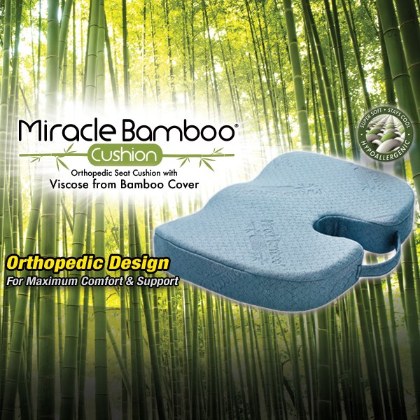 Miracle Bamboo Cushion