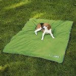 Insect Shield Pet Blanket
