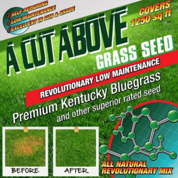 Cut Above Grass Seed