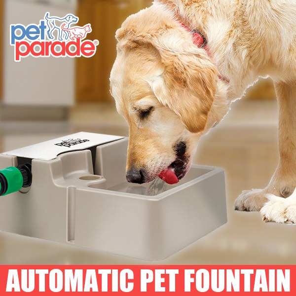 Automatic Pet Fountain