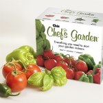 Chia Chefs Garden Planter