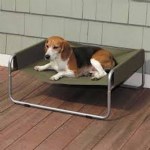 Insect Shield Pet Cot