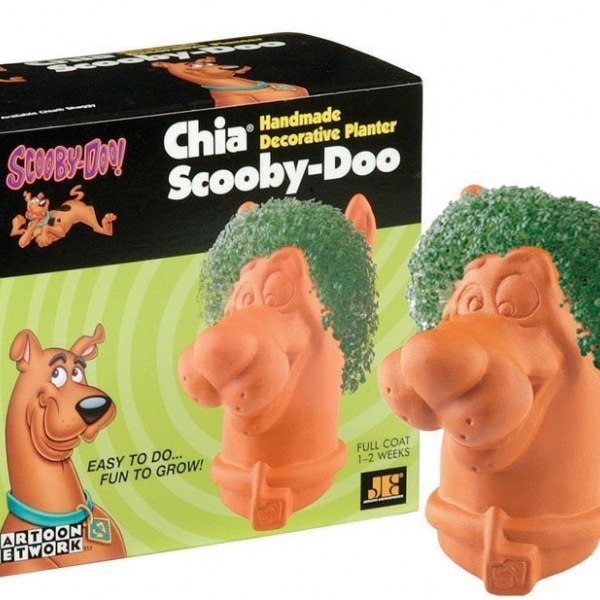 Chia Scooby Doo As Seen On TV