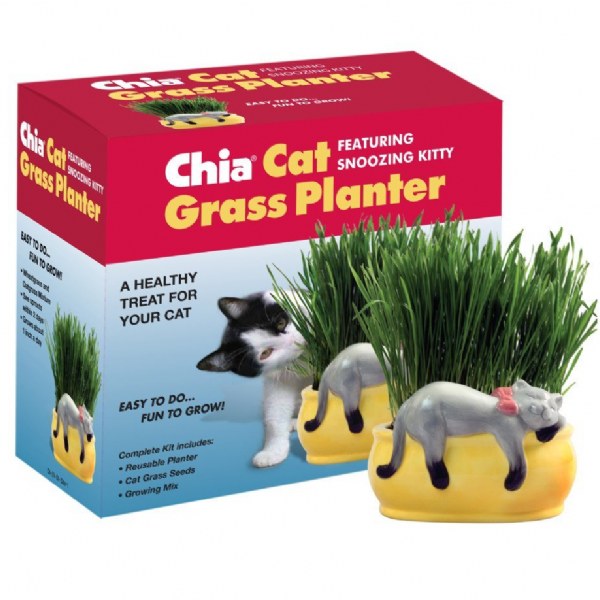 Chia Cat Grass Planter Snoozy Kitty