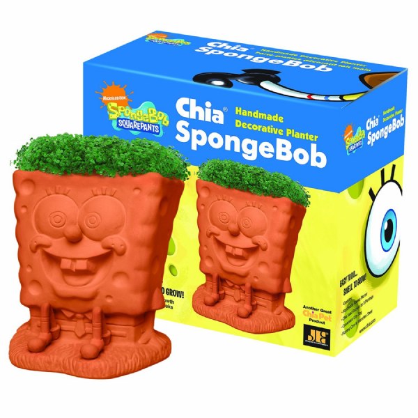 Chia Spongebob