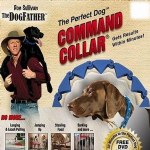 Perfect Dog Command Collar
