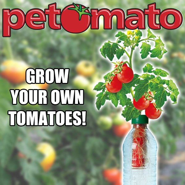 Petomato