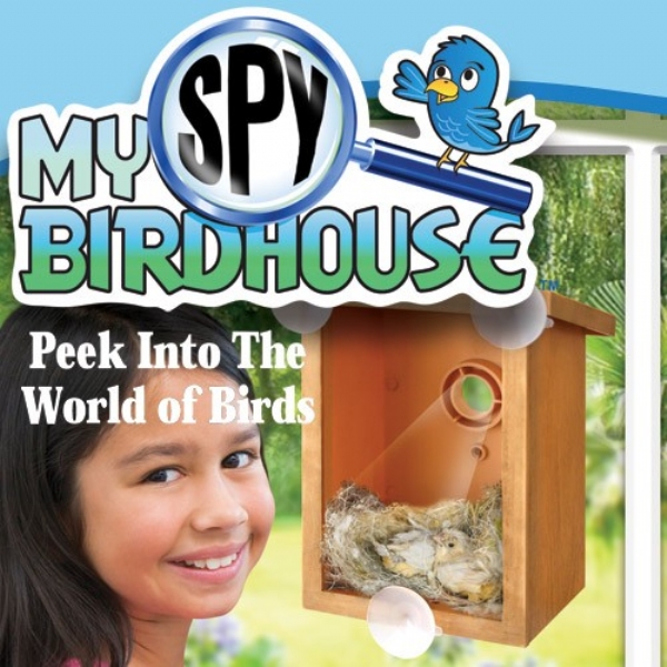 My Spy Birdhouse
