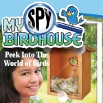 My Spy Birdhouse