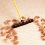 Primeway® Rubber Broom Mop for Wet Floor Cleaning with Long Handle :  : Home Improvement