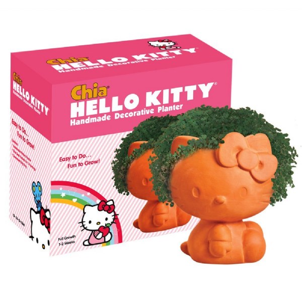 Chia Hello Kitty