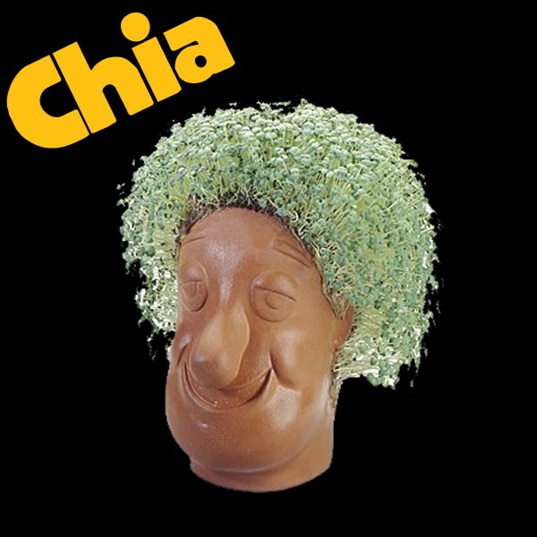 Chia Head | As Seen On TV