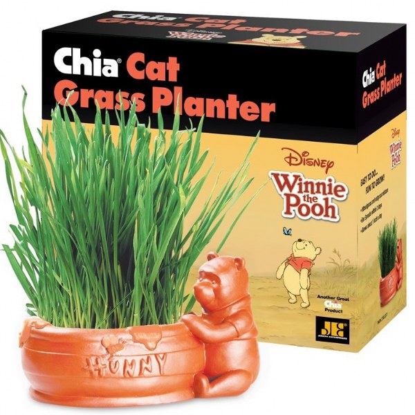 Chia Cat Grass Planter - Winnie the Pooh