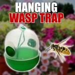 Hanging Wasp Trap