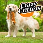 Crazy Critters Dog Toy