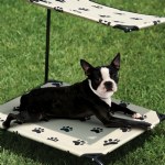 Paw Print Shaded Pet Cot