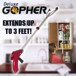 Gopher Deluxe