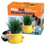 Chia Cat Grass Planter Sylvester and Tweety